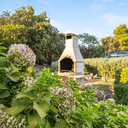 Apartman 1 Bedroom Gorgeous In *